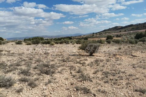 Helårsgrund i Caudete, Albacete, Caudete - € 35.000 | Ref: SF0388 - foto 12